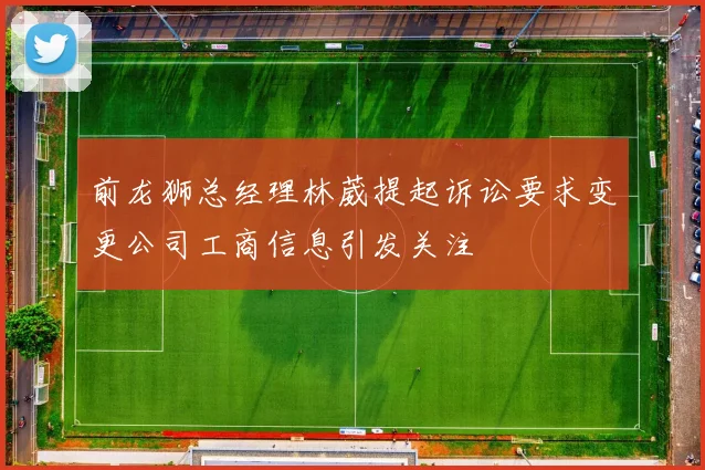 前龙狮总经理林葳提起诉讼要求变更公司工商信息引发关注