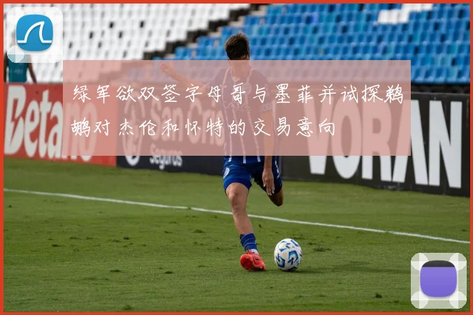 绿军欲双签字母哥与墨菲并试探鹈鹕对杰伦和怀特的交易意向
